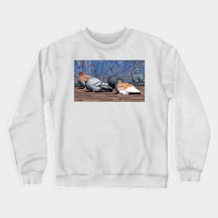 Pigeons On The Roof Crewneck Sweatshirt